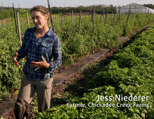 Jess Neiderer